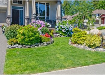 Reasons to consider hiring a landscaping professional for your house