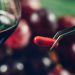 How Often You Should Take Resveratrol and Other FAQs Answered