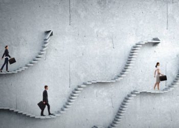 Top Service Oriented Career Path Options to Consider