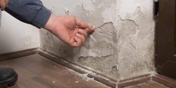 What Is Rising Damp?