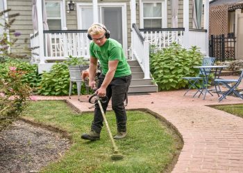 Why are Professional Landscaping Services Worth Considering?