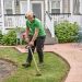 Why are Professional Landscaping Services Worth Considering?