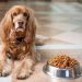 Factors to Consider When Buying Pet Food