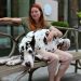 5 Things To Consider Before Getting A Great Dalmatian