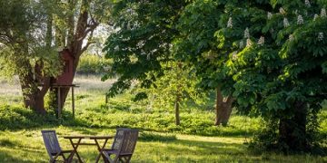 Tired of your backyard? Transform and revive your area in a few simple steps