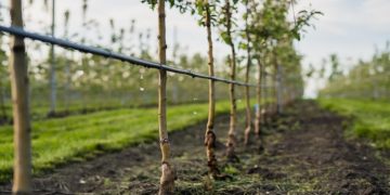 Benefits of a Farm Irrigation System: Everything you need to know