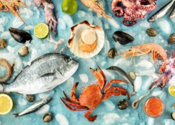 How important is seafood for health