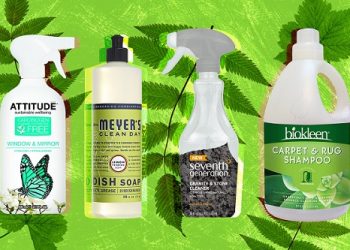 The Green Cleaner: 5 Eco-Friendly Ways to Spruce up Your Home