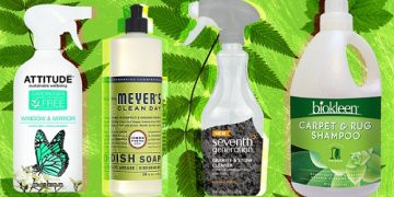 The Green Cleaner: 5 Eco-Friendly Ways to Spruce up Your Home