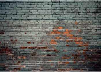 How Wall Cladding Can Revamp the Aesthetics of Your Home