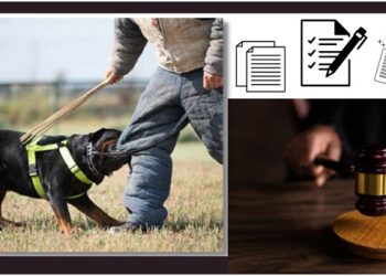5 Steps for Filing a Dog Bite Lawsuit
