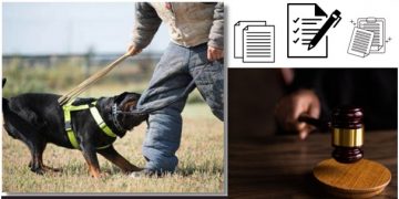 5 Steps for Filing a Dog Bite Lawsuit