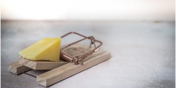 4 Common Ways of Getting Rid of Mice