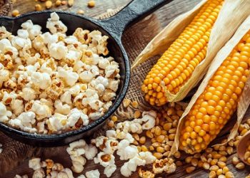 Do Popcorn Kernels Germinate?