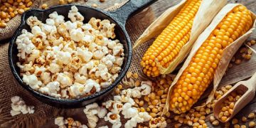 Do Popcorn Kernels Germinate?