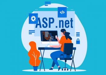 Reasons to Hire a .NET Developers