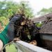 Why cleaning your gutters is so important