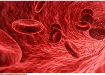 How To Deal With Spider Veins The Right Way