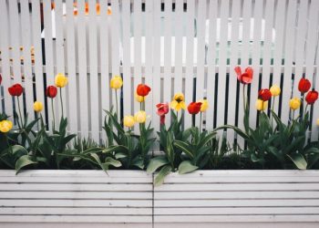 Different Types Of Fences For Your Garden Project