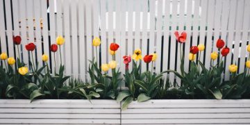 Different Types Of Fences For Your Garden Project