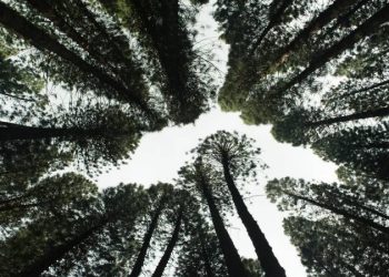 How A Heat Pump Can Help The Environment