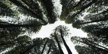 How A Heat Pump Can Help The Environment