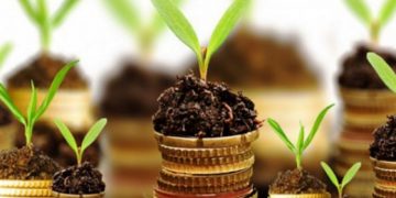 How to start the agriculture business?  