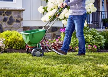 How to take proper care of your lawn in an effortless manner?