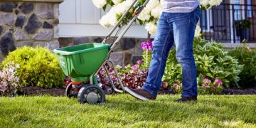 How to take proper care of your lawn in an effortless manner?