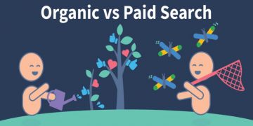 Paid vs. Organic Search: Which Is Better for Your Business?