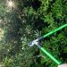 Tips For Growing & Pruning Shrubs