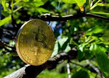 What Is Helping Bitcoin To Balance Its Ecosystem?