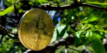 What Is Helping Bitcoin To Balance Its Ecosystem?