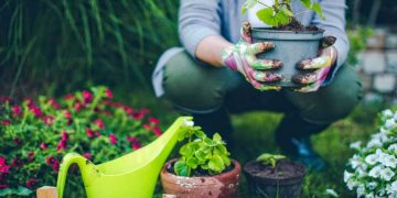 10 Main Tips for New Gardening Enthusiasts