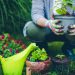 10 Main Tips for New Gardening Enthusiasts