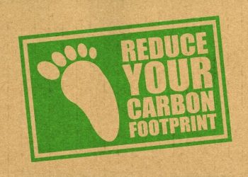 6 Major Ways to Reduce Your Carbon Footprint in 2022