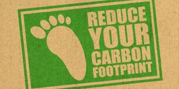 6 Major Ways to Reduce Your Carbon Footprint in 2022