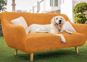 Color Trends 2022 to Bring Summer into Your House