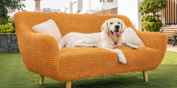Color Trends 2022 to Bring Summer into Your House