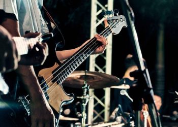 Electric Bass Guitar Vs. 4-String Acoustic Bass: Which Should I Choose?