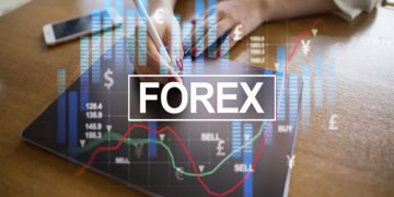 Forex Trading Account Types in 2022