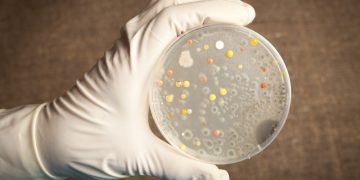 How Can Biology Experiments Help Students Grow into Young Scientists?