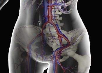 How to Find Femoral Vein
