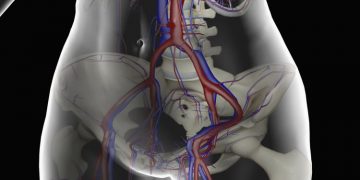 How to Find Femoral Vein