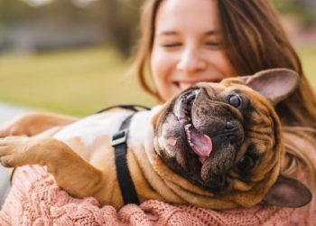 Puppies Dogging Your Dreams? 7 Signs You’re Ready to Bring Home a Dog