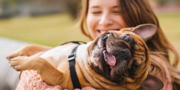 Puppies Dogging Your Dreams? 7 Signs You’re Ready to Bring Home a Dog