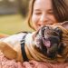 Puppies Dogging Your Dreams? 7 Signs You’re Ready to Bring Home a Dog