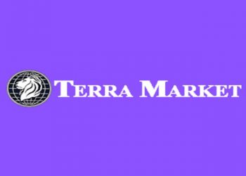 Terra Markets Review – A Versatile and Reliable Broker [Updated]