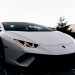 Why is Lamborghini the all-time favorite of people?