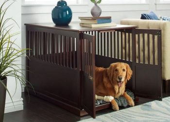 Select the Correct Dog Crate Furniture – The Essential Factors to Consider